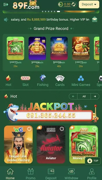 89f Game